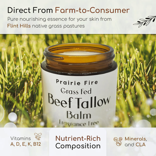 Organic Grass Fed Beef Tallow Balm - 4 oz