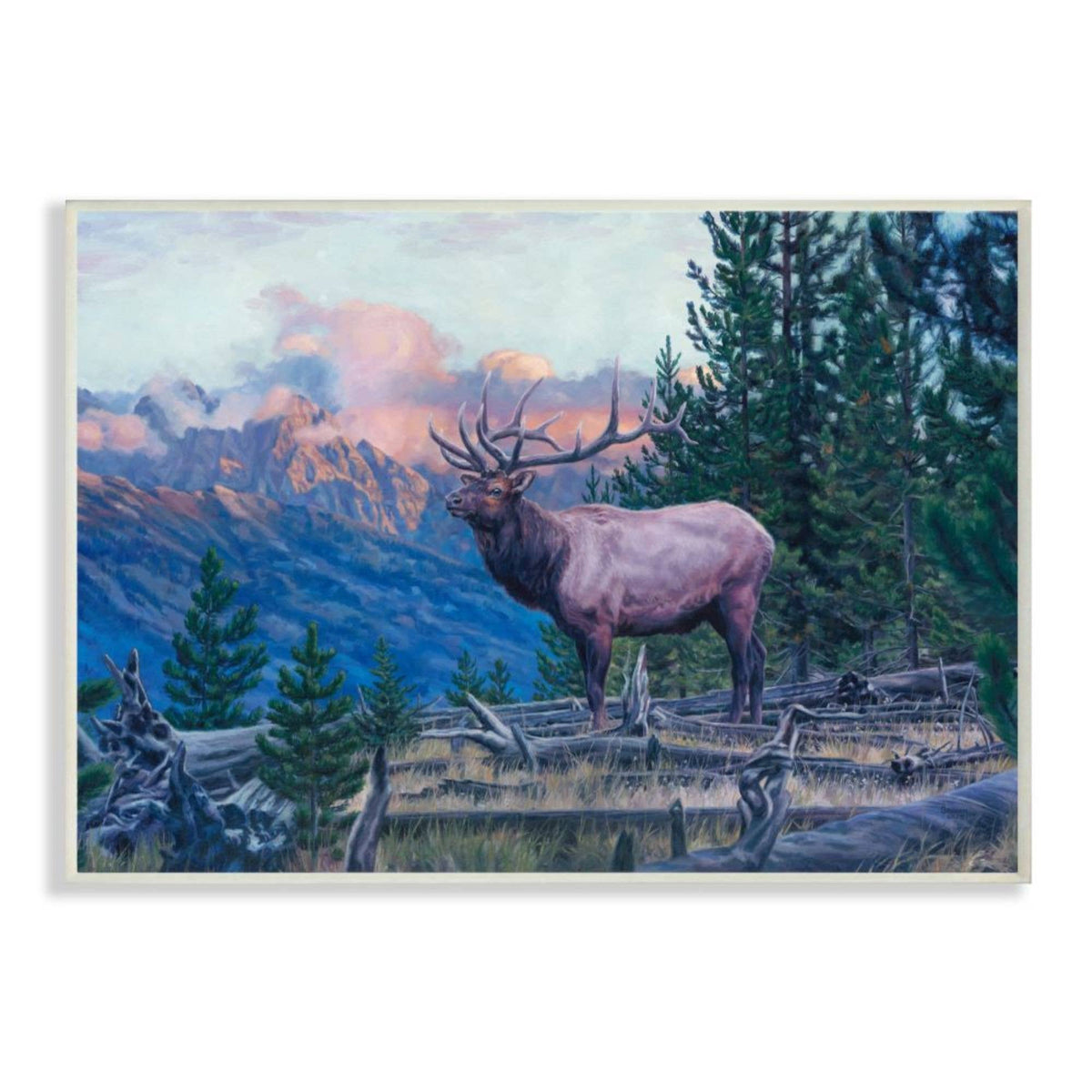 Elk Morning Sun 10x15 Wall Plaque