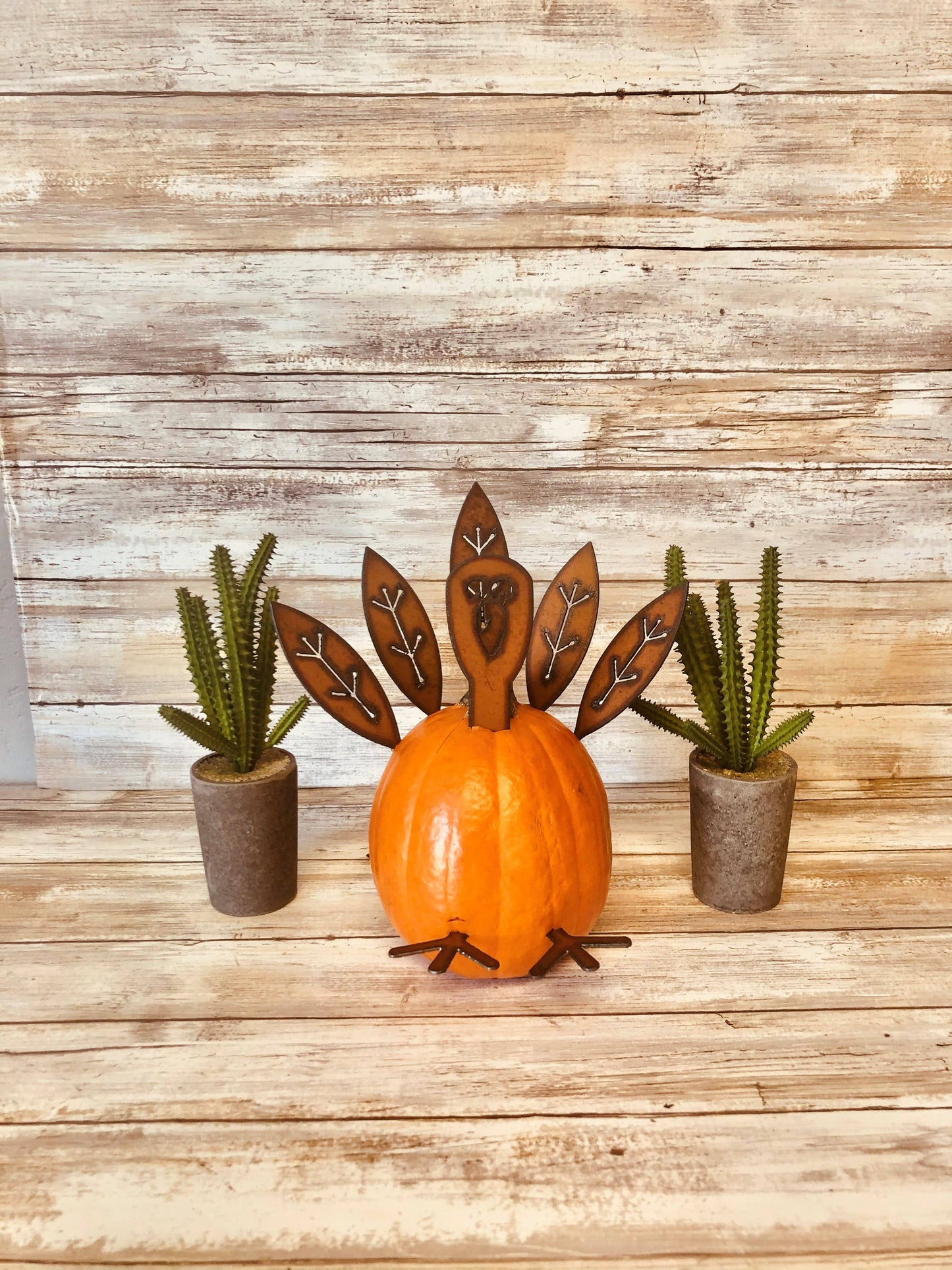 TURKEY PUMPKIN PARTS